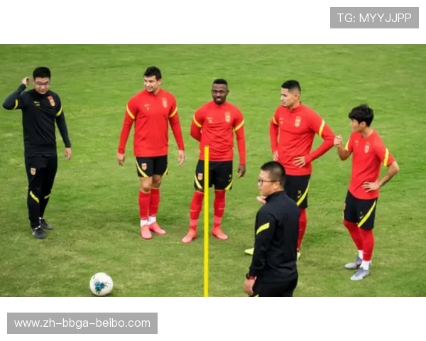 足球比赛中的裁判判罚与决策分析